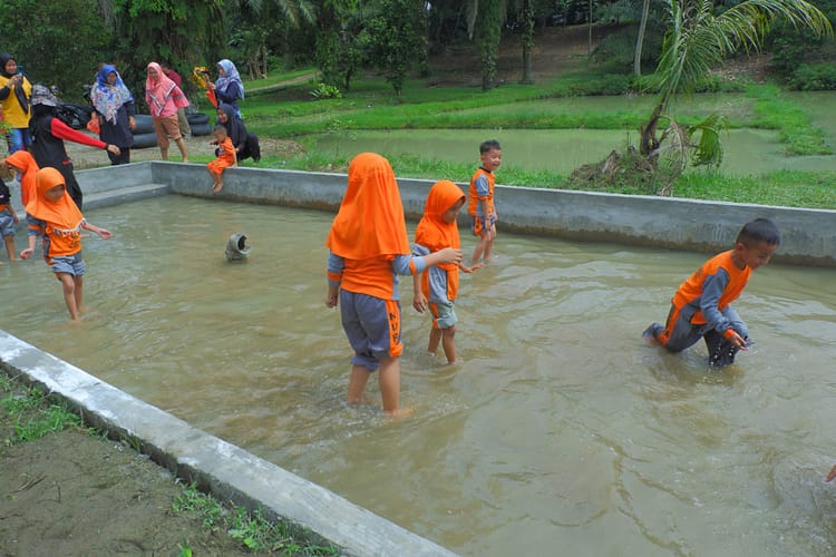Nur Ihsan Gelar Outbound Anak TK di Naga Timbul Village, Tanjung Morawa DSCF1117